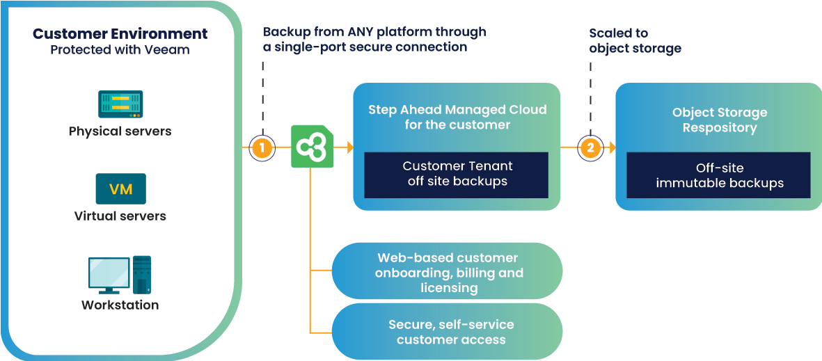 Customer Environment Veeam